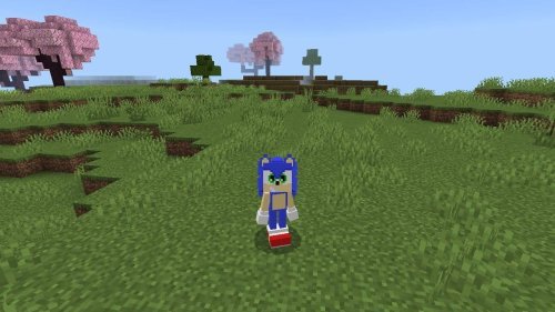 Sonic The Hedgehog 4D Skin Texture Pack for Minecraft Bedrock