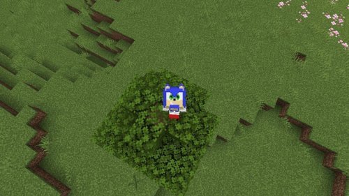 Sonic The Hedgehog 4D Skin Texture Pack for Minecraft Bedrock