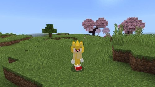 Sonic The Hedgehog 4D Skin Texture Pack for Minecraft Bedrock
