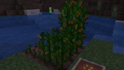 Best Minecraft Addons 2026: Corn Delight Review