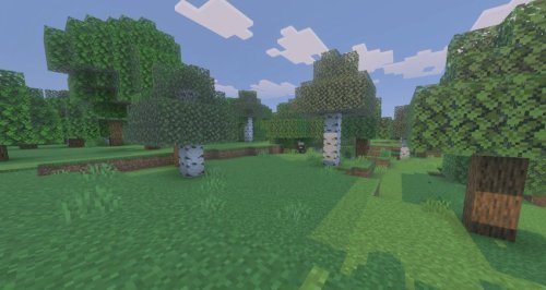 No More Leaf Litter: Best MCPE Addons for Clean Terrain