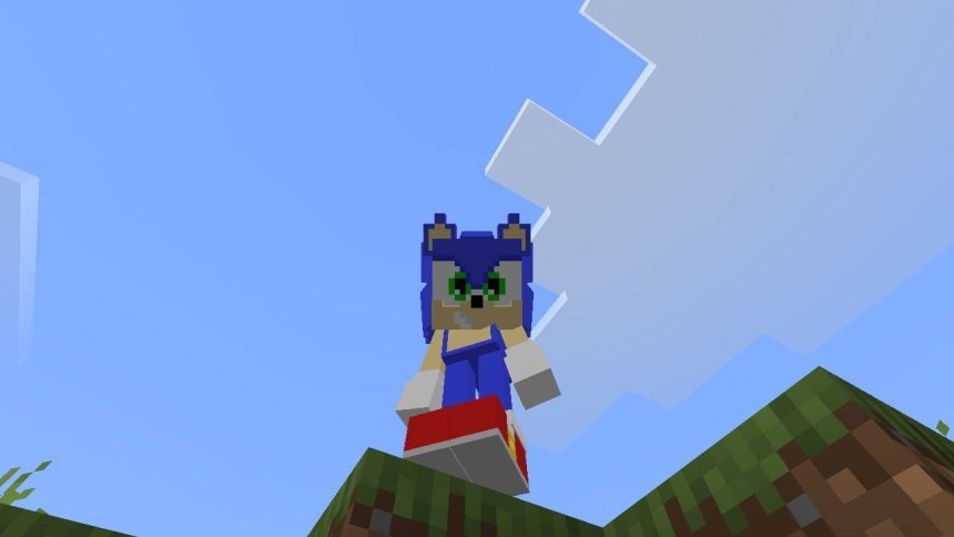 Sonic The Hedgehog 4D Skin Texture Pack for Minecraft Bedrock
